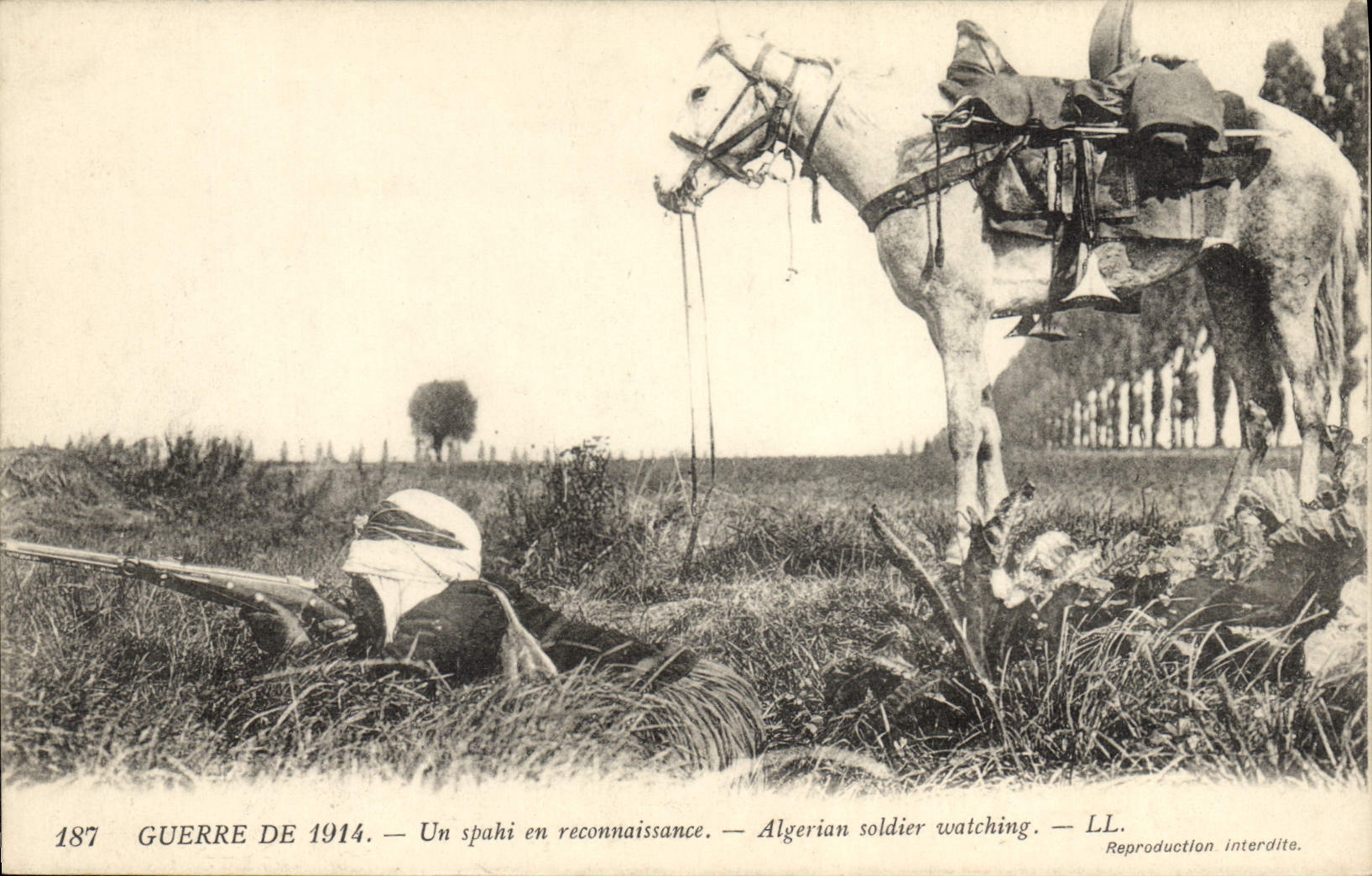 Spahis en reconnaissance — Guerre de 1914 — LL. n° 187