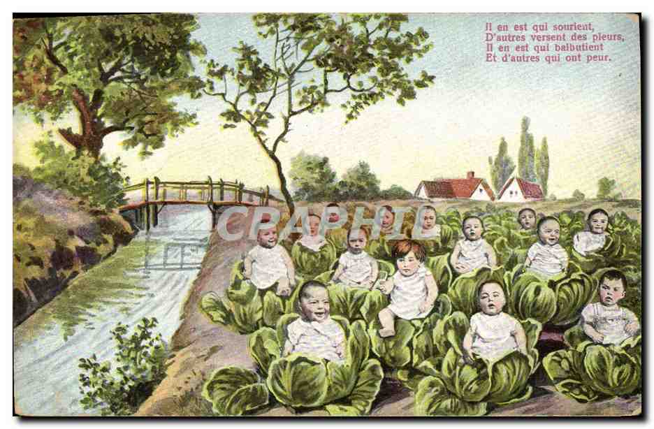 Kinder in Kohlköpfen — Verlag CPAPHIL, Serie 57% — um 1910