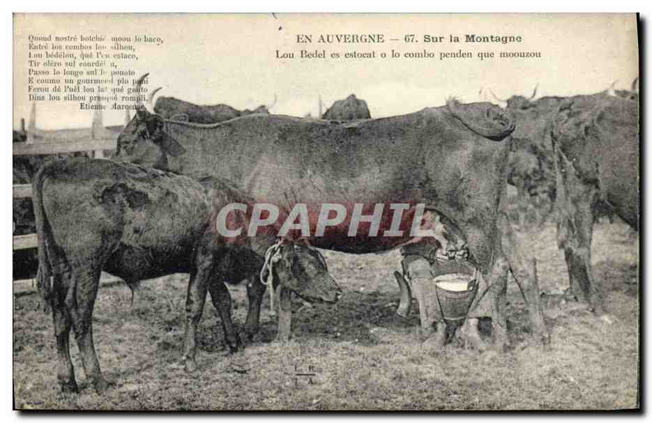 CPA Folklore Auvergne Sur la montagne Lou Bedel es estocat 