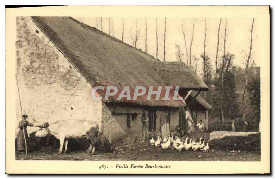 CPA Folklore Auvergne Vieille ferme bourbonnaise