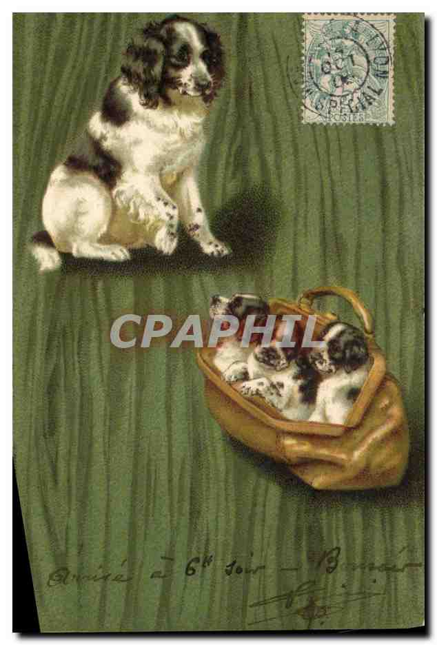 Chien adulte et chiots dans un panier — édition anonyme