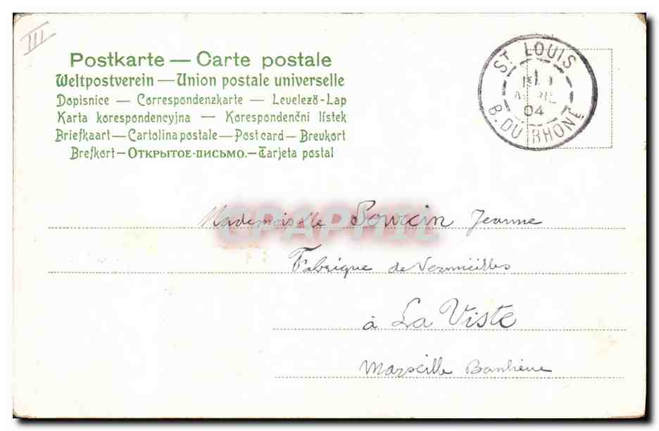 CPA Chien Chiens Chiot — Reverso