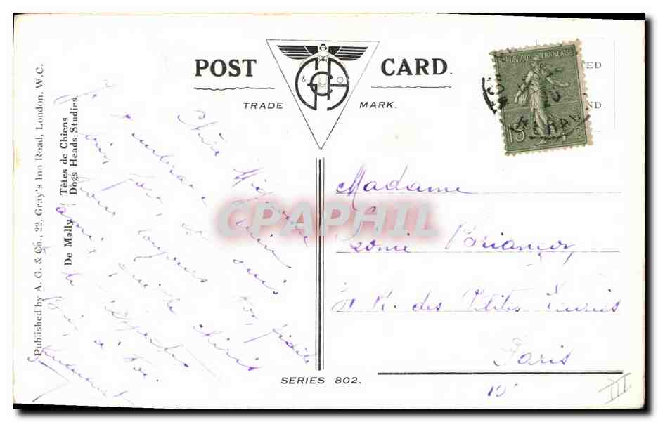 Chat blanc et Fox-Terrier belge — série 802 — A.G. & Co., London — Verso
