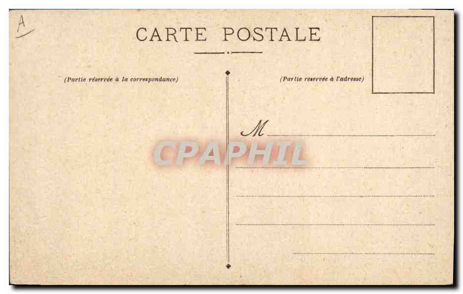 Clumber Spaniel — chien d'arrêt éventant — Chocolat-Louit — Verso