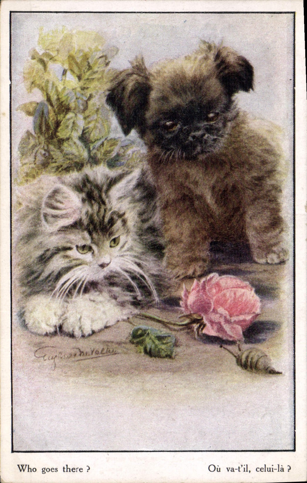 Chat et chiot — Où va-t-il, celui-là ? — Florence House, Barnes