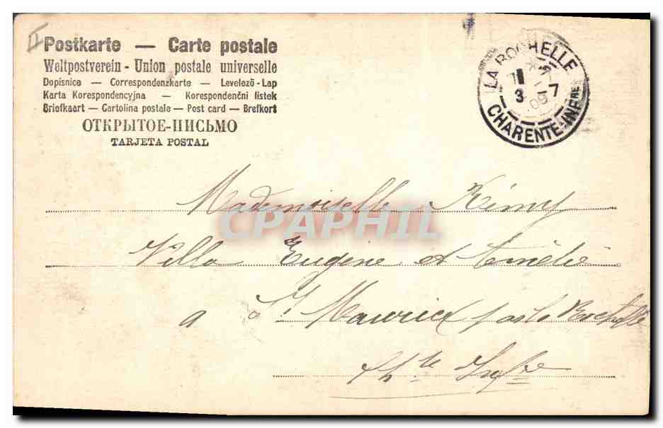 CPA Chien Chiens Chiot  — Verso