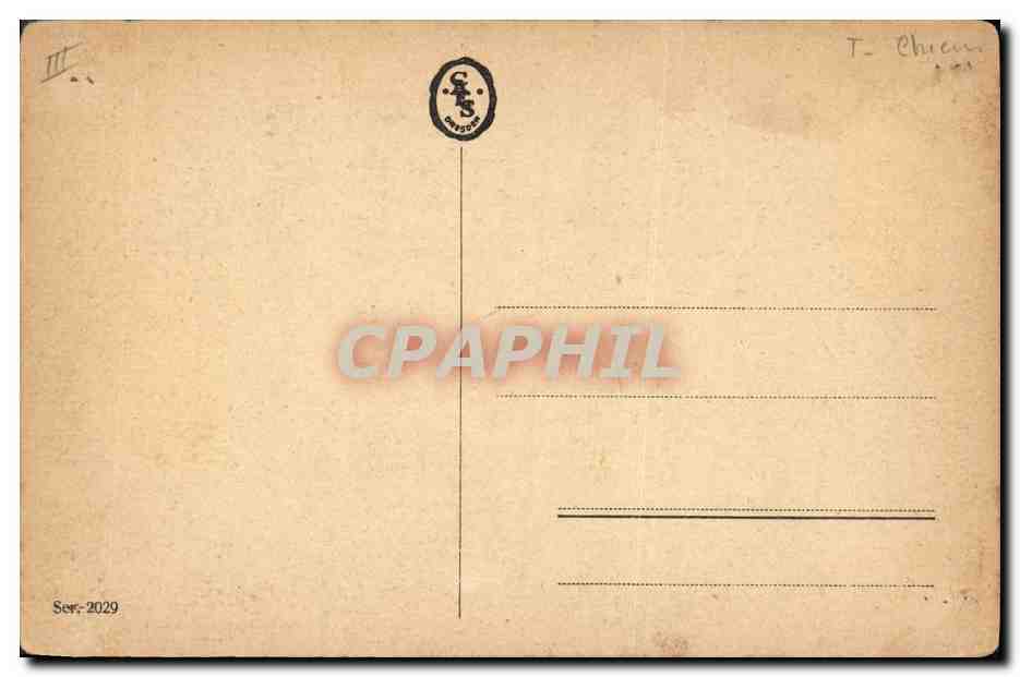 Chien de chasse — Labrador brun — T. IVETT, 1919 — Verso