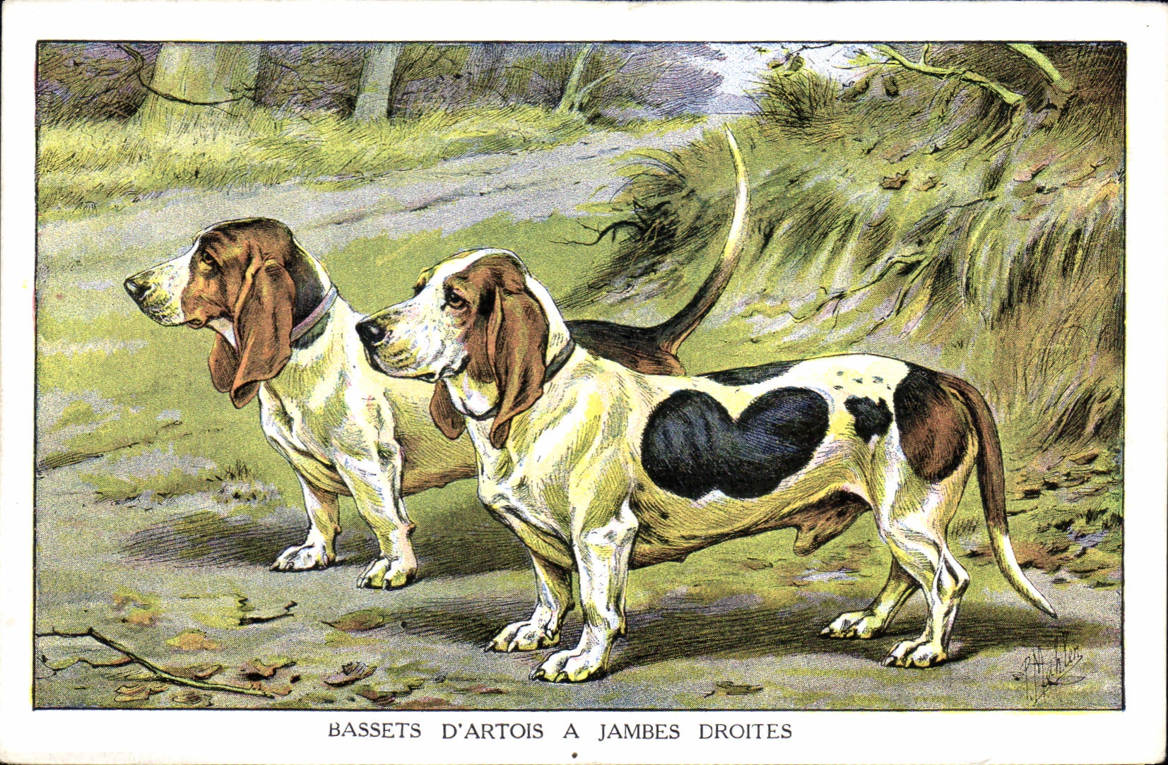 Bassets d'Artois à jambes droites — illustration de chasseurs — éditeur L'Administrateur Français, Saint-Étienne (Loire), n° 5775