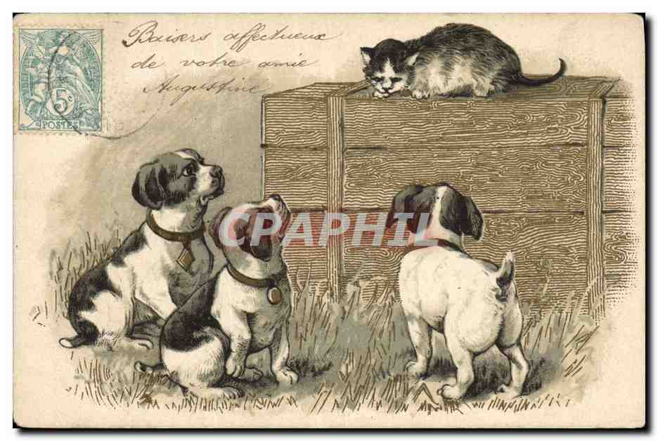 Chiens et chat — scène animale — K. F. Editeurs, Paris