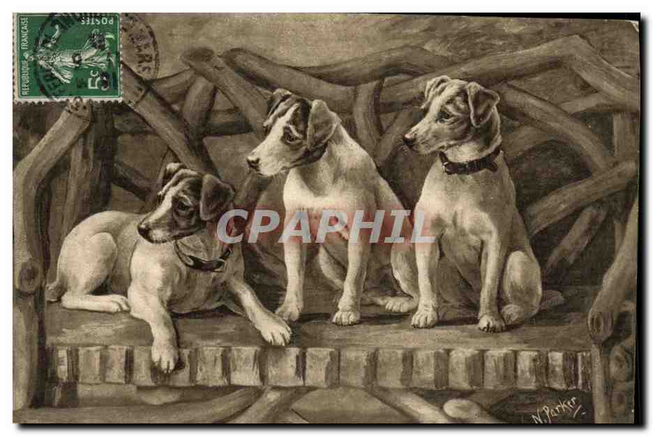 Trois chiens — dessin de N. Parker — éditeur inconnu, série N° 387