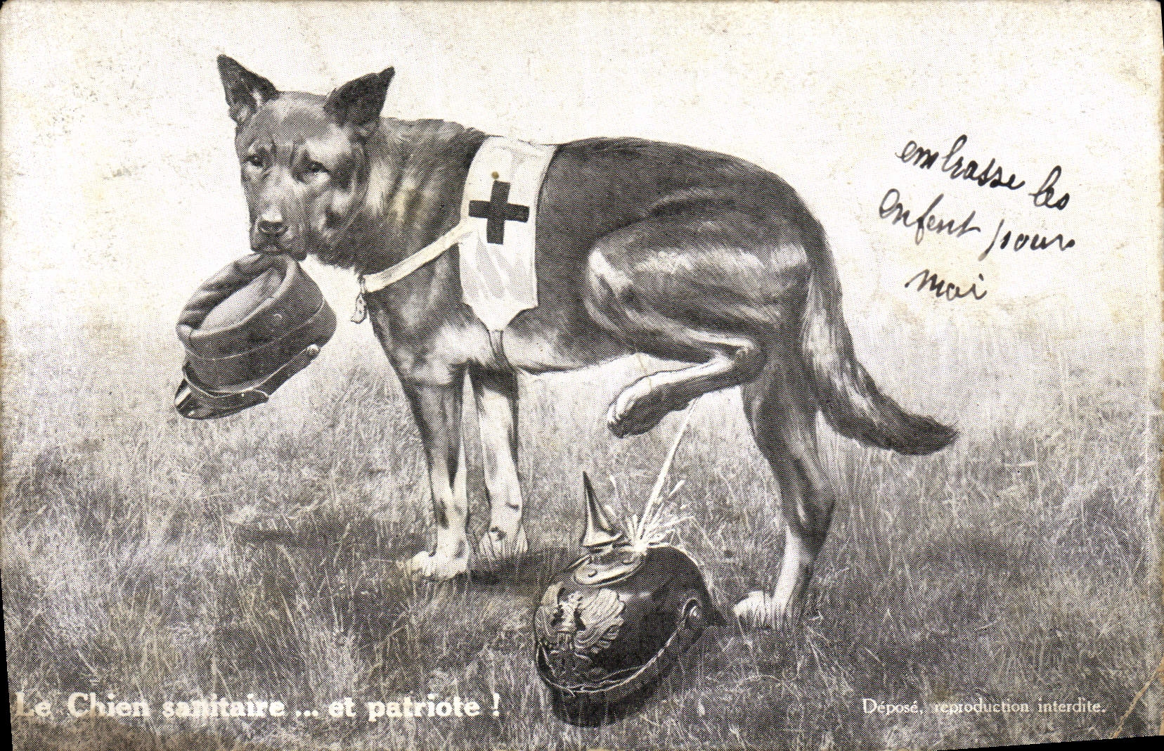 Chien sanitaire ... et patriote ! — Édition non identifiée