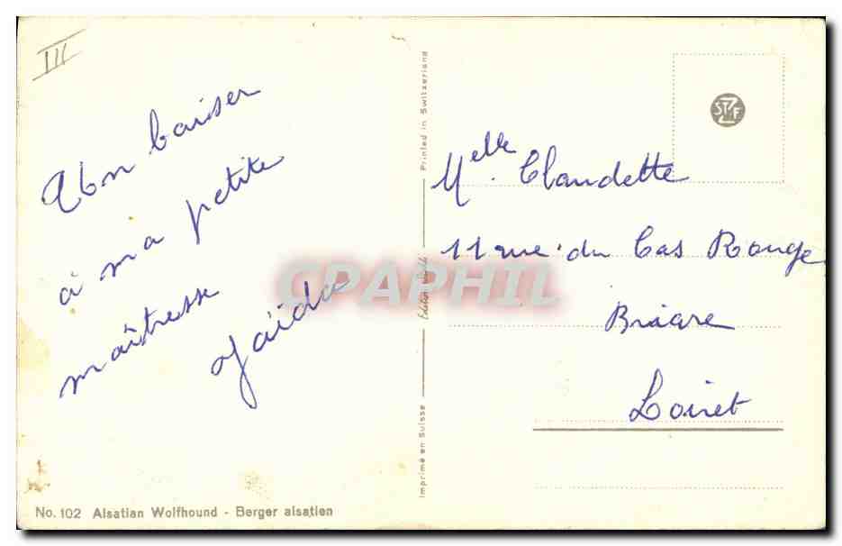 Chien berger allemand — portrait — J. Hirdt, No. 102 — Reverso