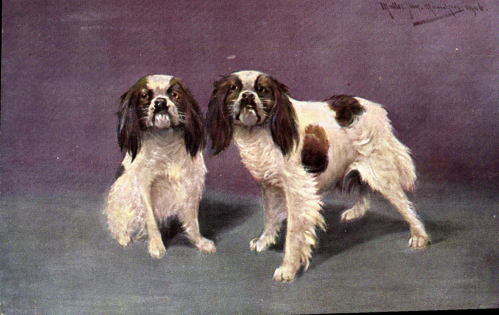 Deux chiens spaniols — peinture — éditeur CPAPHIL, série 425