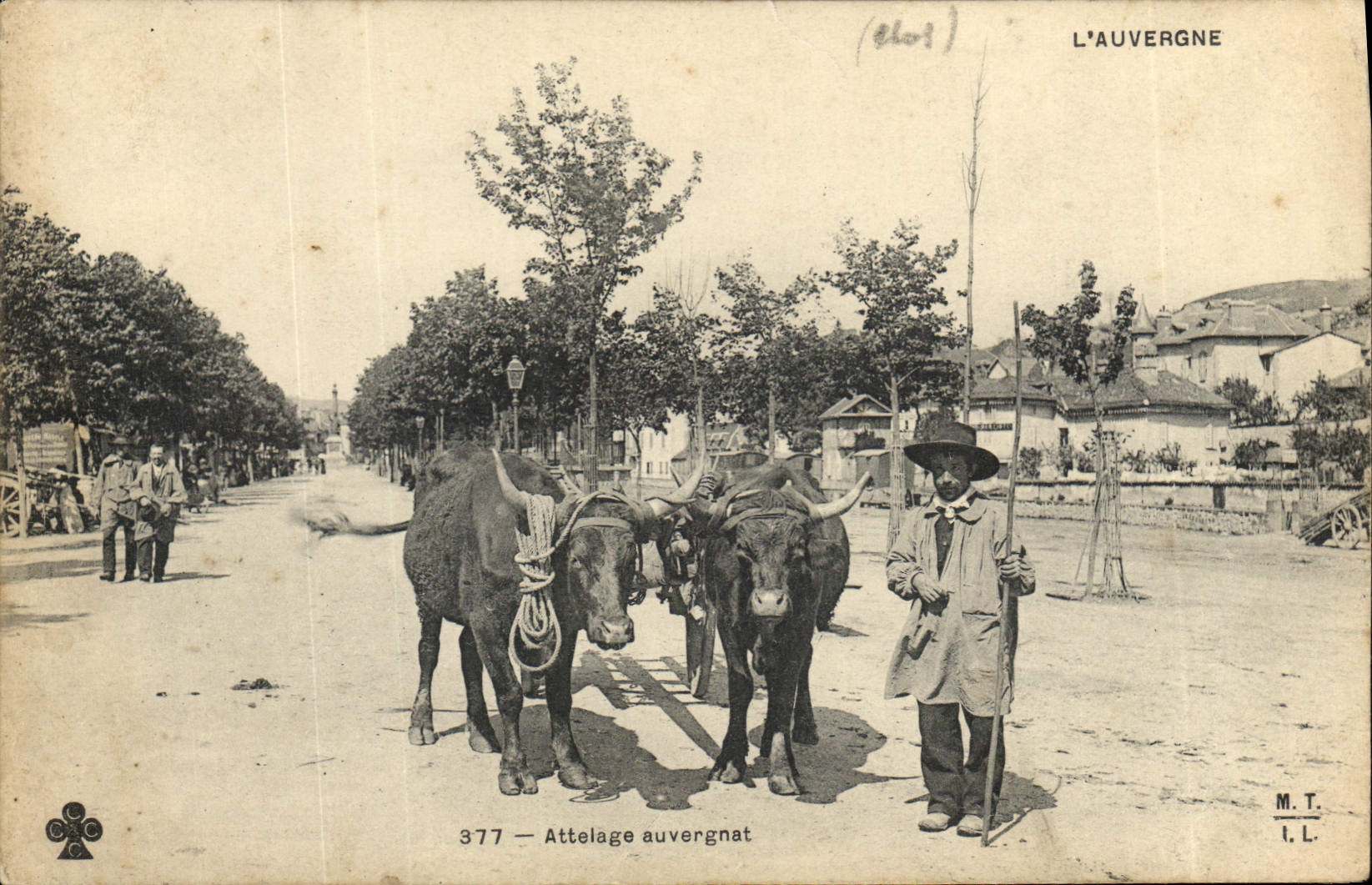 CPA Folklore Auvergne Attelage