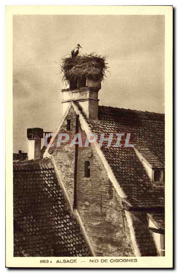 CPA Folklore Alsace Nid de cigognes