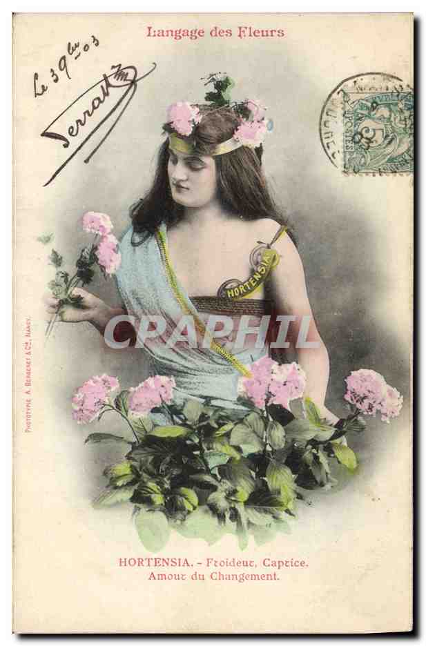 Hortensia — Langage des Fleurs — Phototypie A. Bézard & Cie, Paris