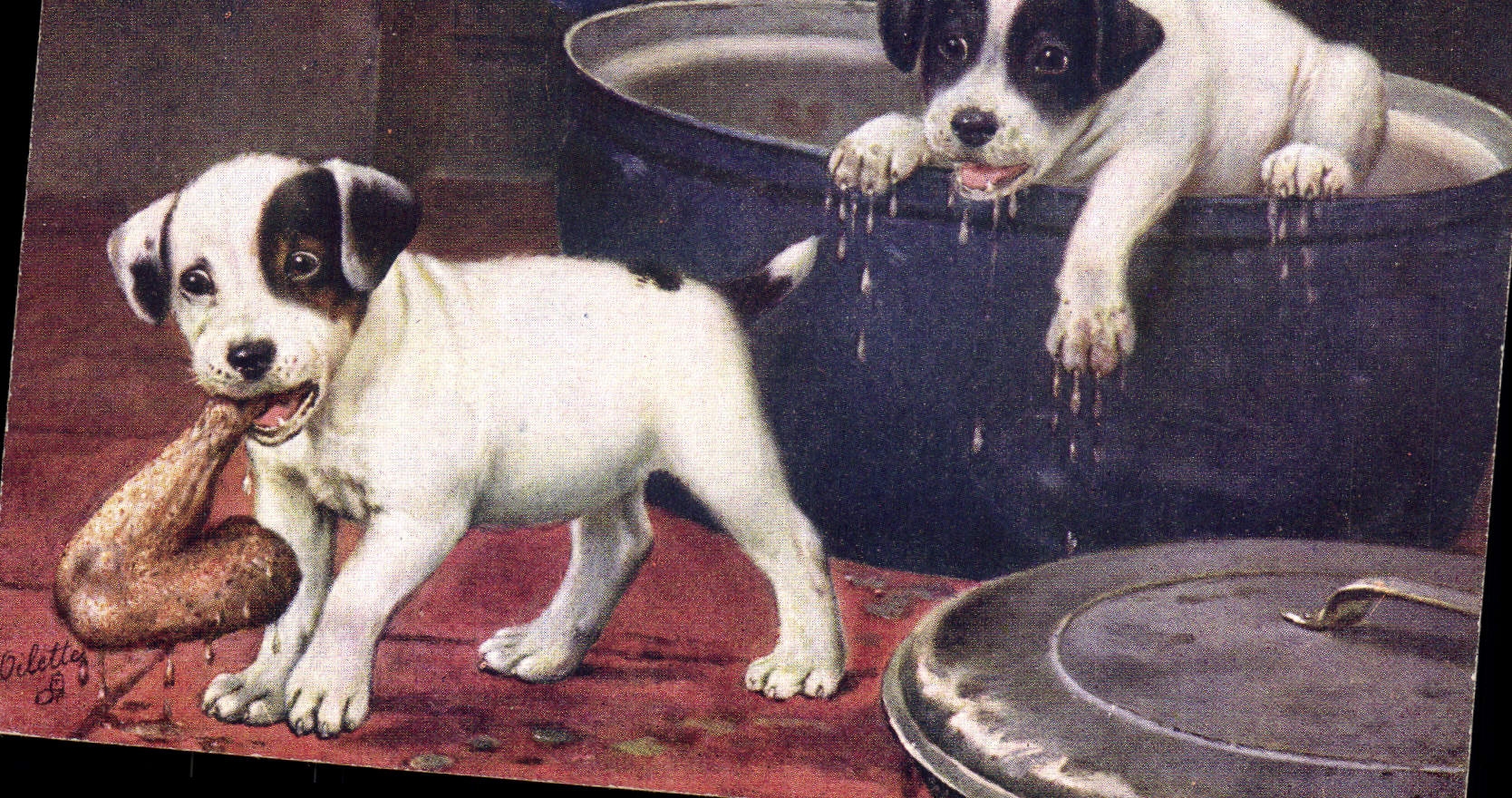 Deux chiots — illustration de Odletty — Tuck's Post Card
