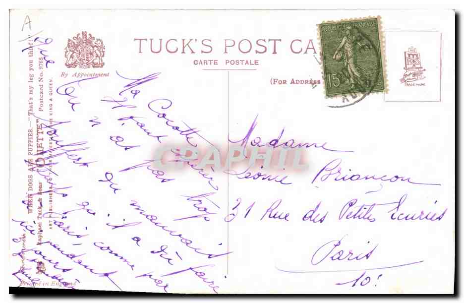 Deux chiots — illustration de Odletty — Tuck's Post Card — Reverso