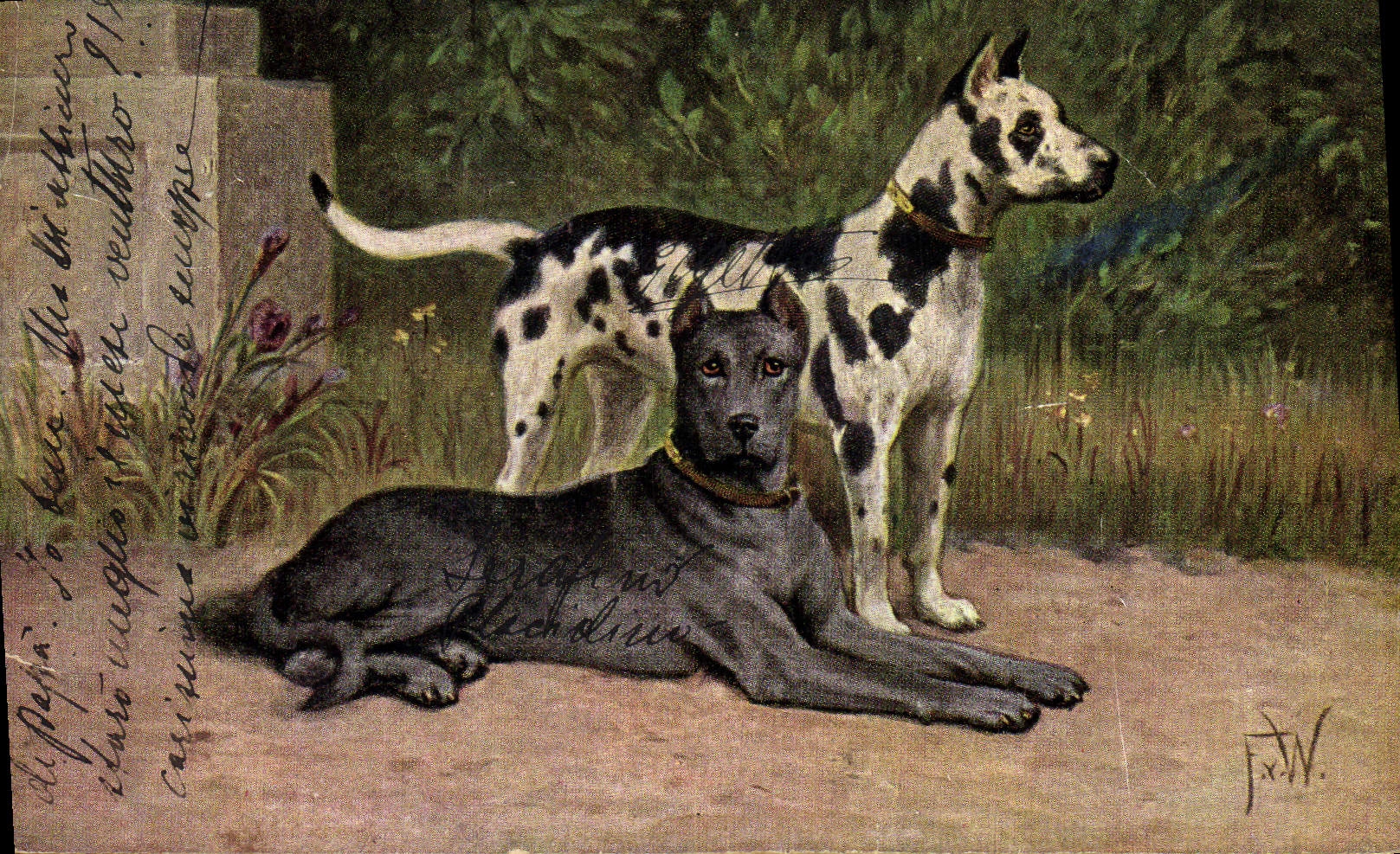 Deux chiens — un dalmatien et un chien noir — dans un jardin — F. V. — éditeur R. & B. C. Serie 3018