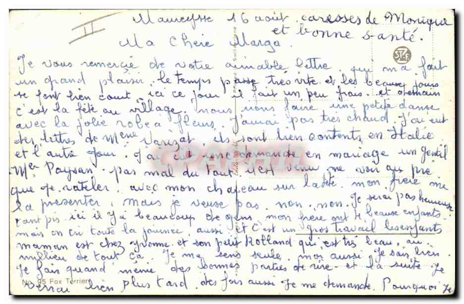 Fox Terrier — dessin signé J. Brist — éditeur non visible — Verso