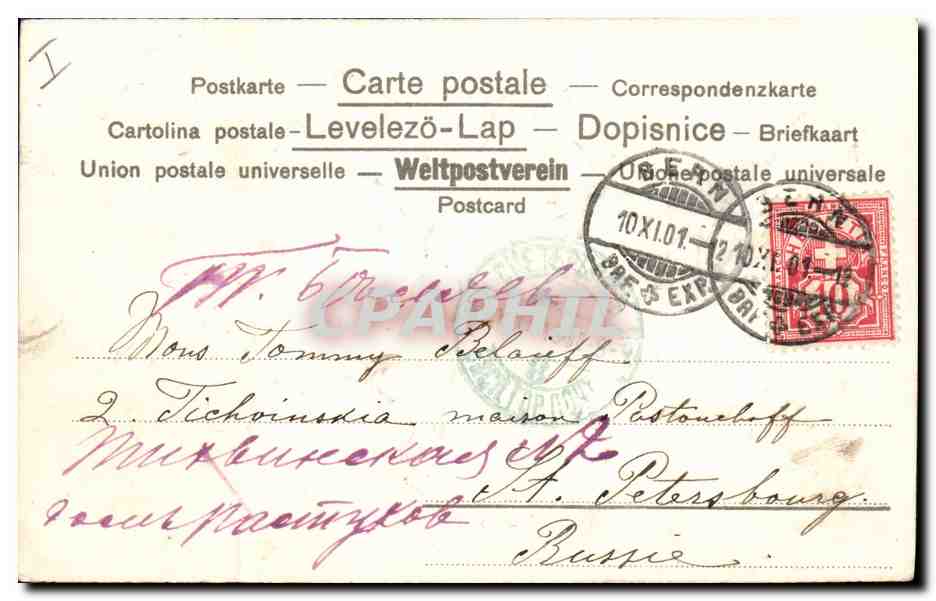 Cinq chiens dansant — illustration humoristique — éditeur non identifié — Reverso