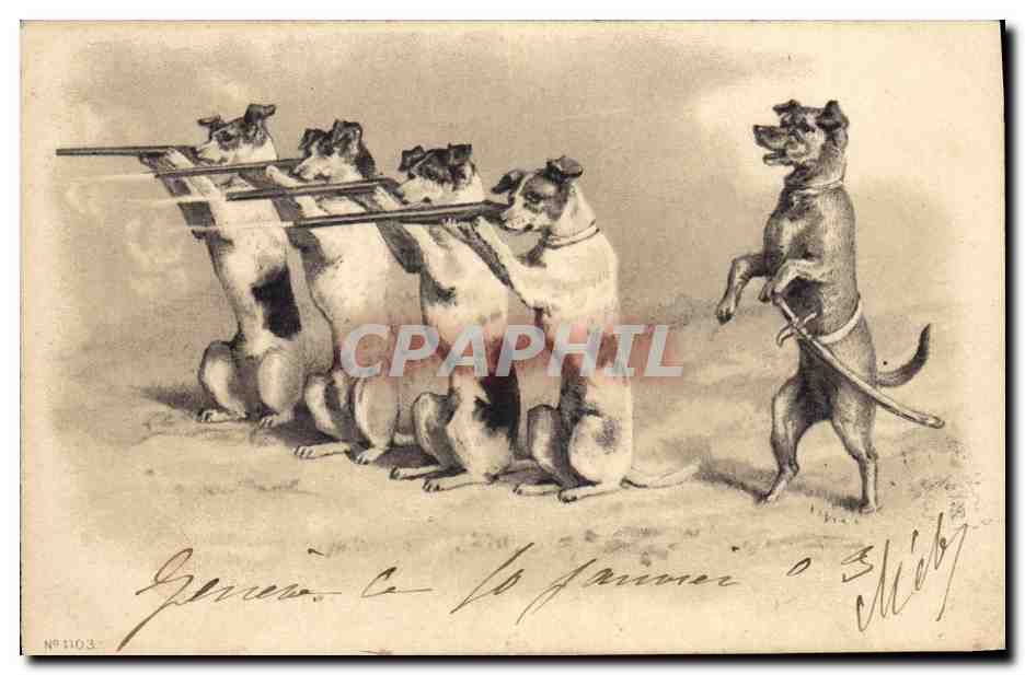 Chiens en train de jouer au hockey — Micky — N° 1103