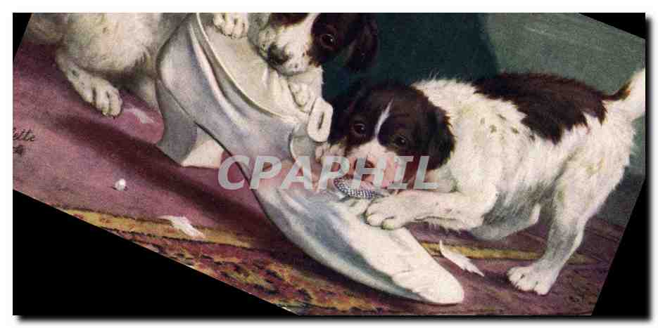 Deux chiots jouant avec une chaussure — Raphael Tuck & Sons — N° 9785