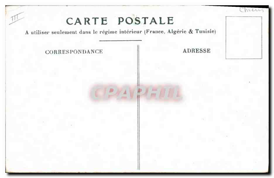 CPA Chien Chiens Chiot Fleurs — Reverso