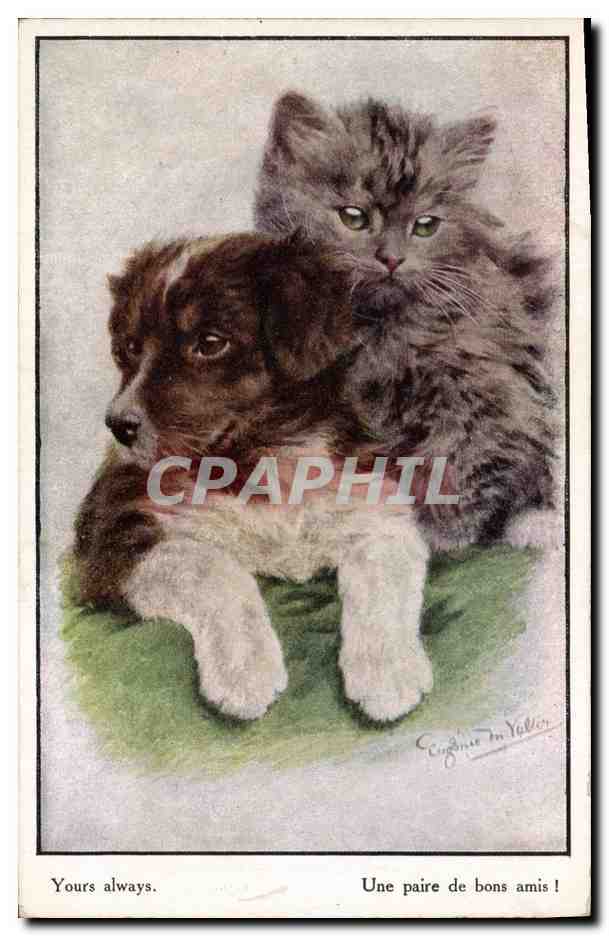 CPA Chien Chiens Chiot Une paire de bons amis Chat 