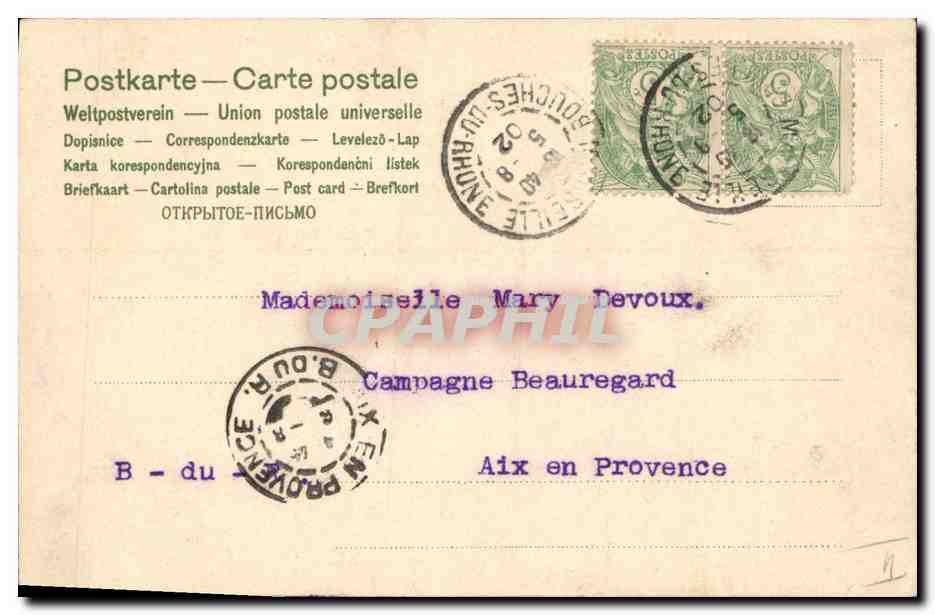 CPA Chien Chiens Chiot Canon — Reverso