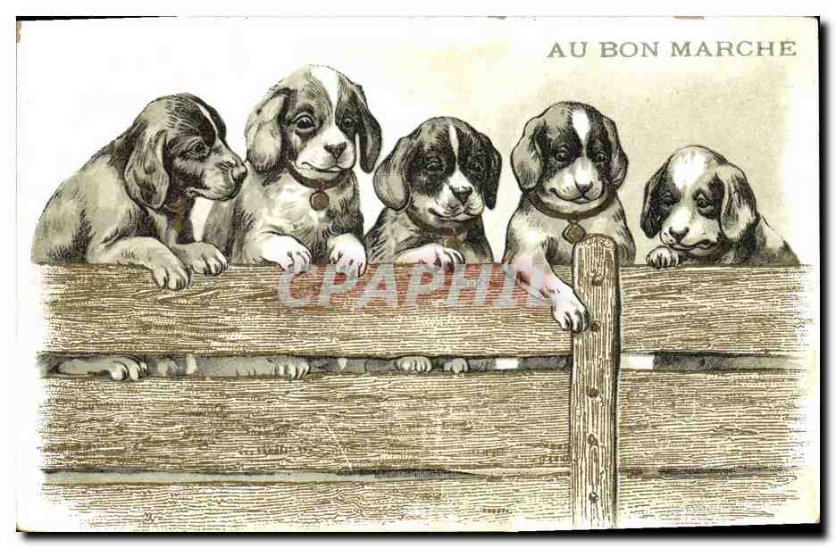 Cinq chiots — Au Bon Marché — Graphil