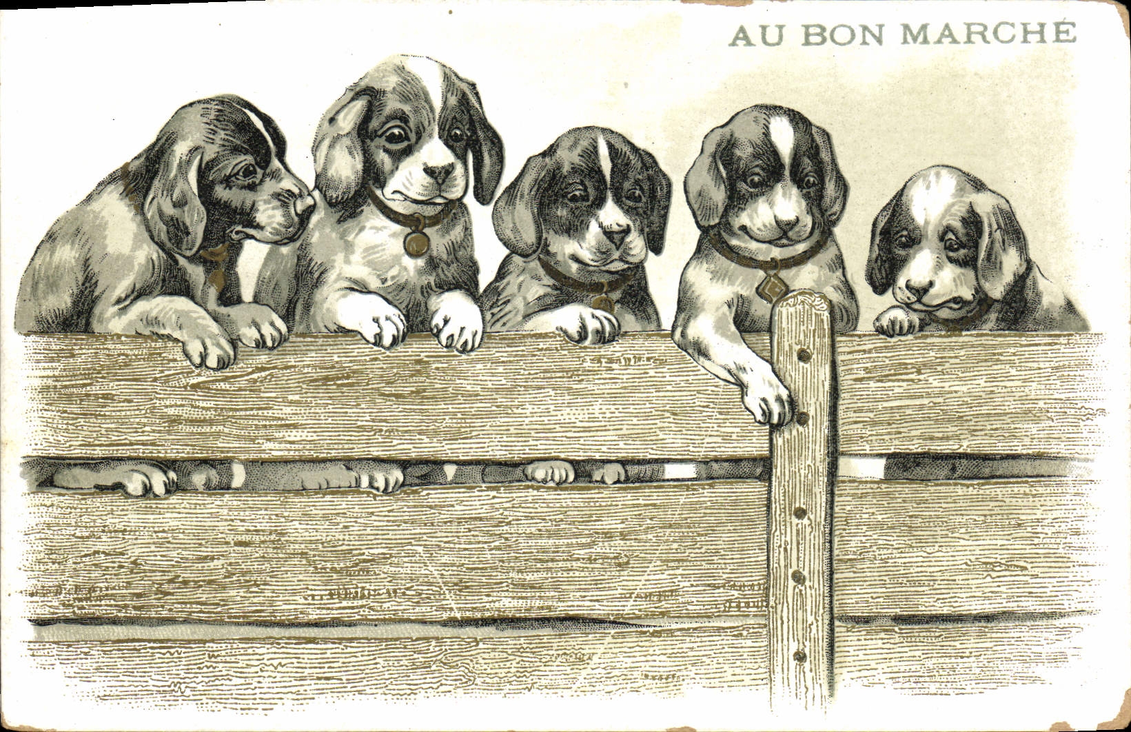 Cinq chiots derrière une clôture — Au Bon Marché — éditeur inconnu, n° de série non visible