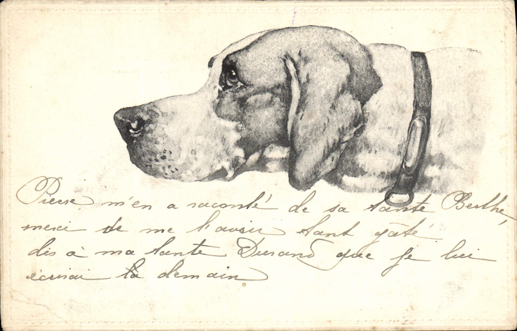 CPA Chien Chiens Chiot