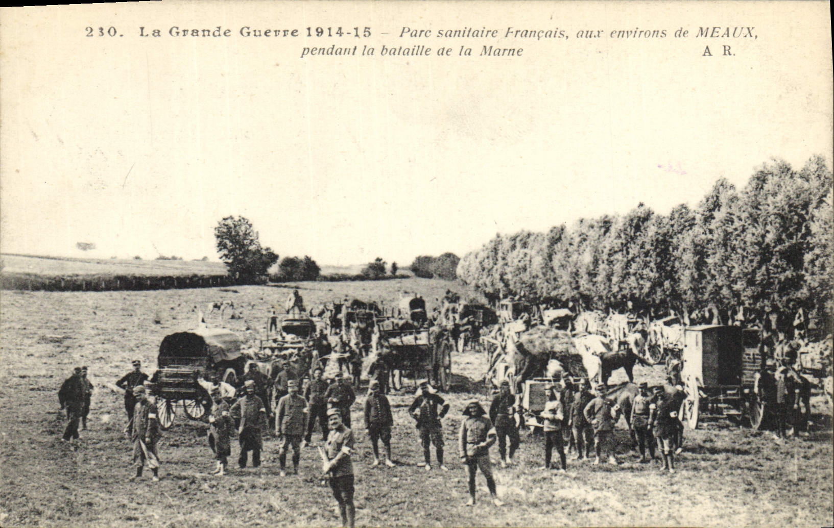 Parc sanitaire français — Meaux — A.R. n°230