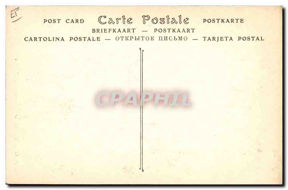 Un'immagine di squali pescati nella baia di FORT-DE-FRANCE (Martinica) — edizione non identificata — Verso