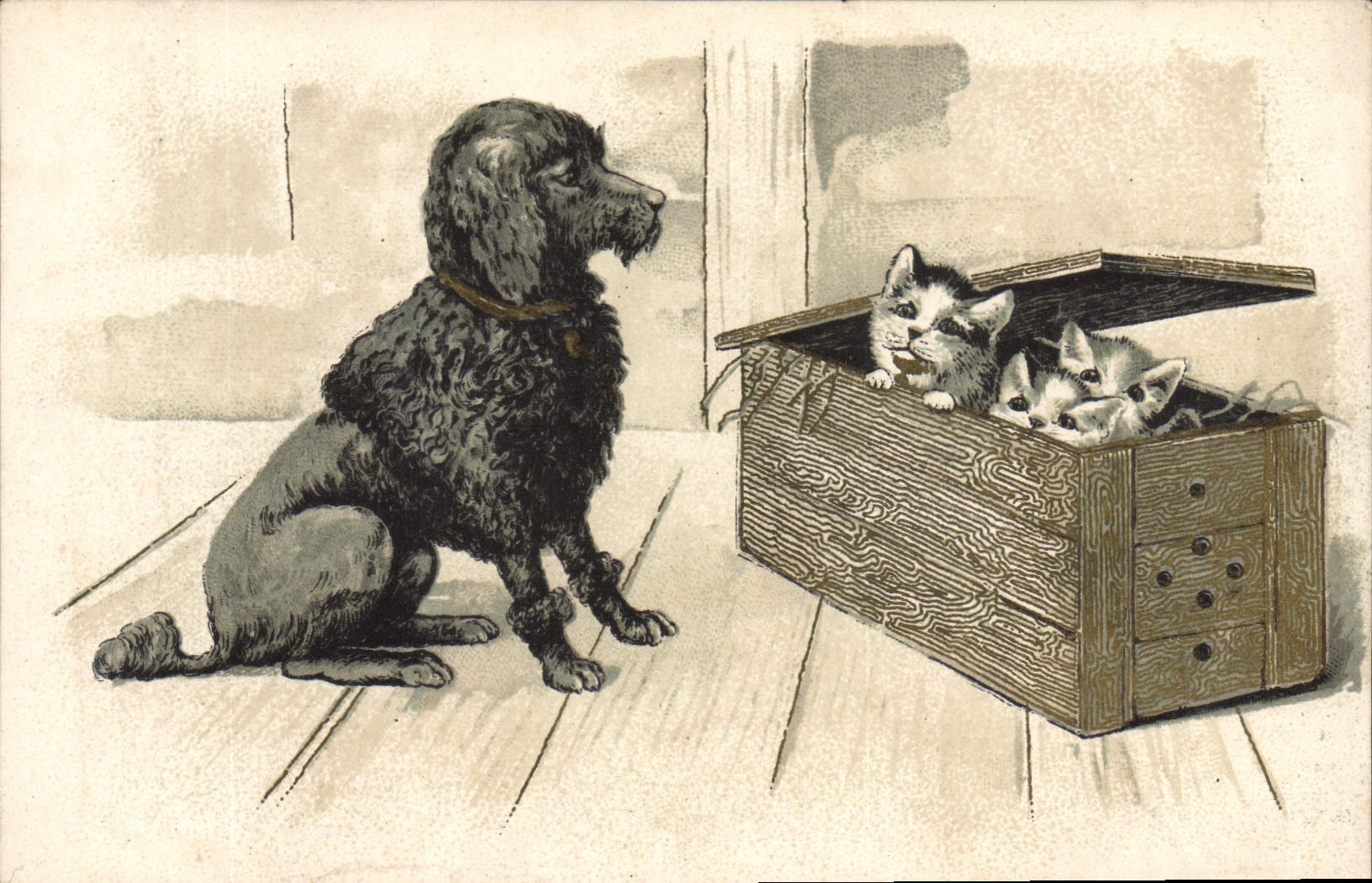 Chien regardant des chatons dans une boîte — illustration — CPAPHIL