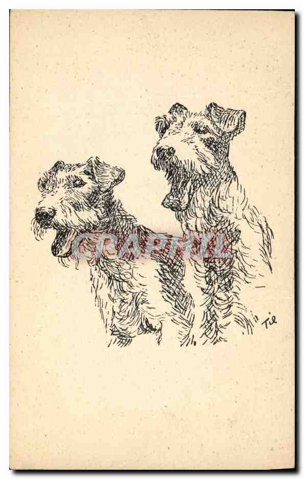 CPA Chien Chiens Chiot 