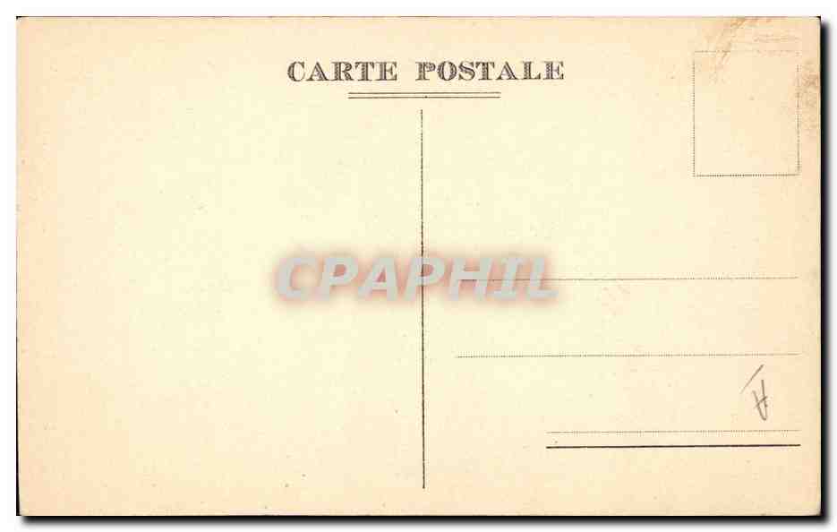 CPA Chien Chiens Chiot  — Verso