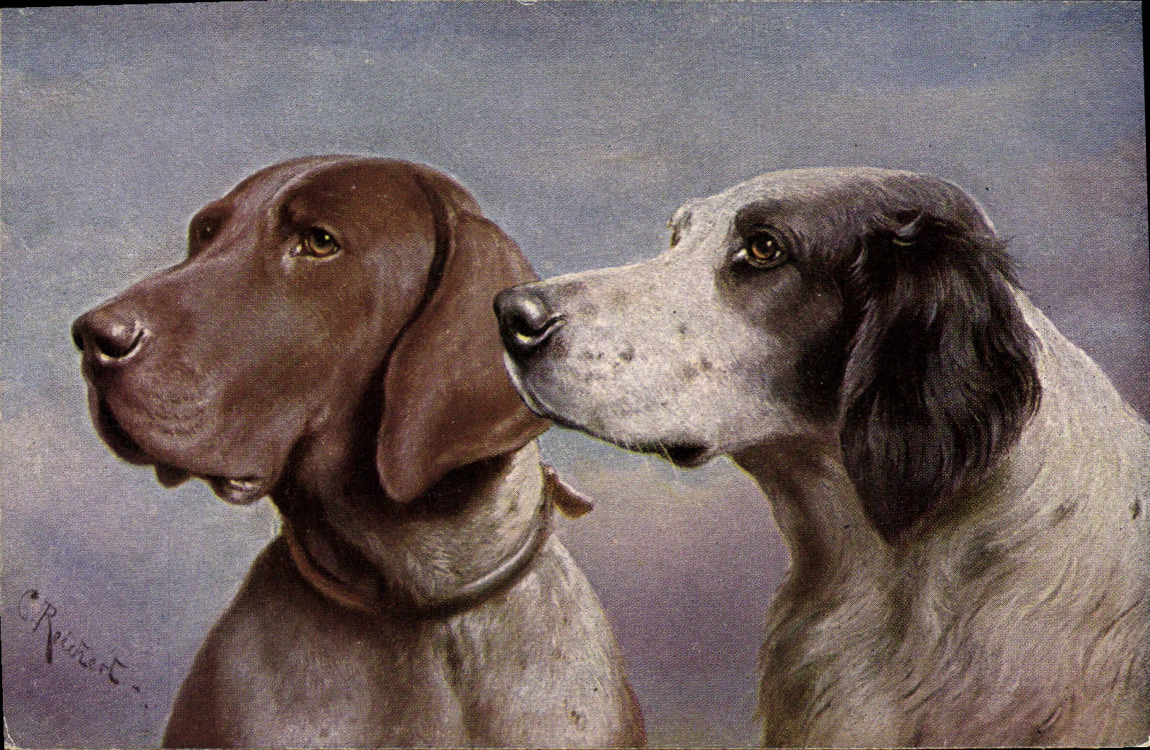 Deux chiens de chasse — Chien de braconnage allemand et Setter anglais — C. Rouvret