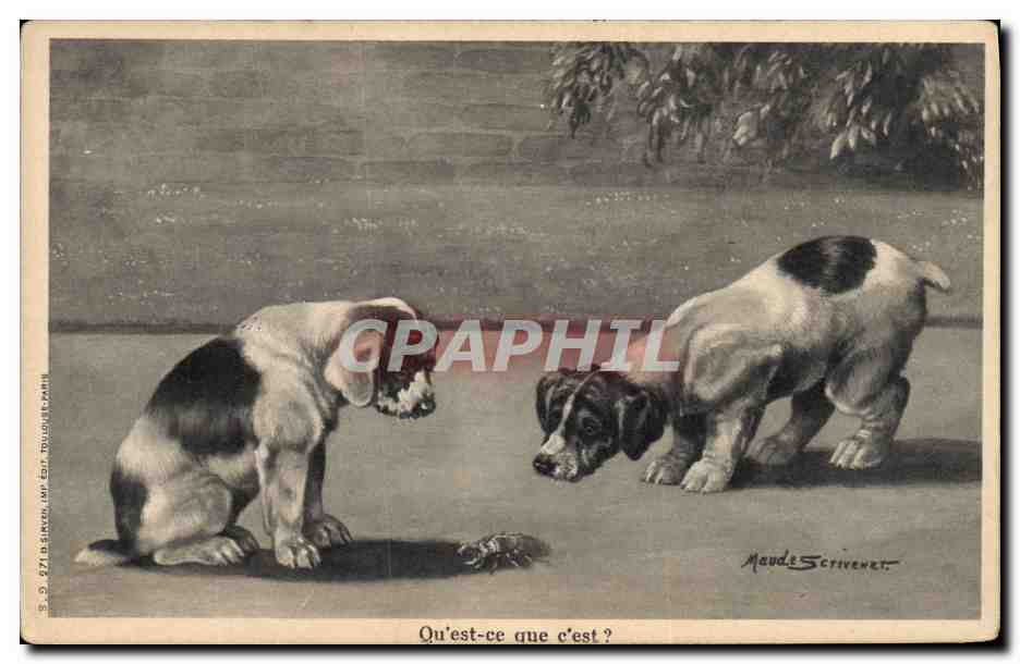 Deux chiots curieux — Qu'est-ce que c'est ? — Maude Scrivener, n° 571, B. Sinner, impr. Ed. Toulouse-Mir