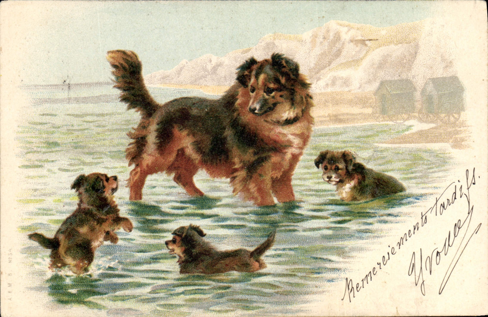 Chiens dans la mer — scène de bain — A.F.M. B. N°534