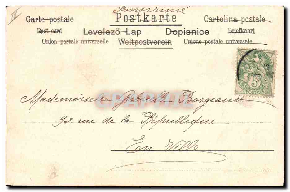Chiens dans la mer — scène de bain — A.F.M. B. N°534 — Reverso