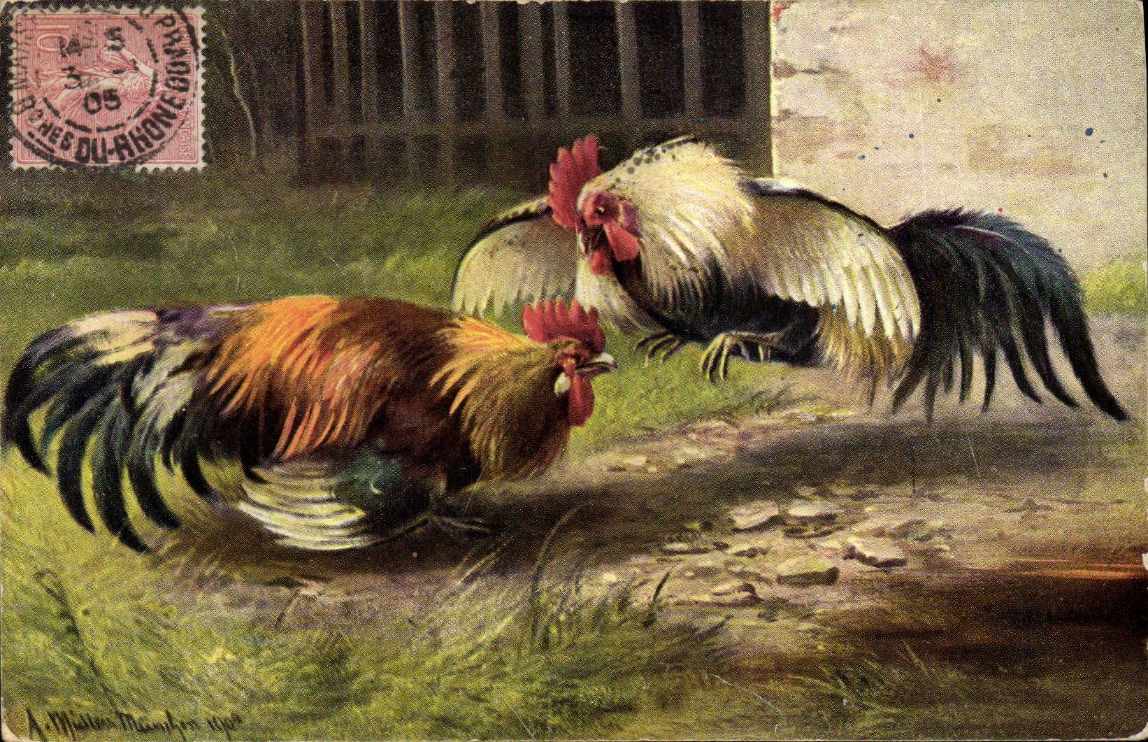 Deux coqs en duel — A. Millien, gravé en 1904 — éditeur non visible