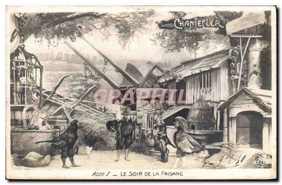 CPA Coq Chantecler Le soir de la faisane