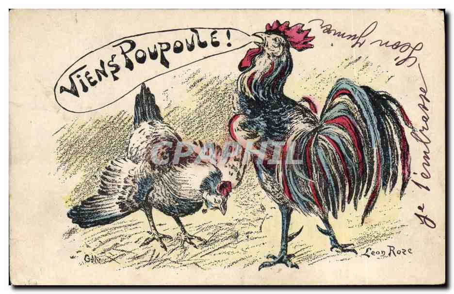 CPA Coq Poule