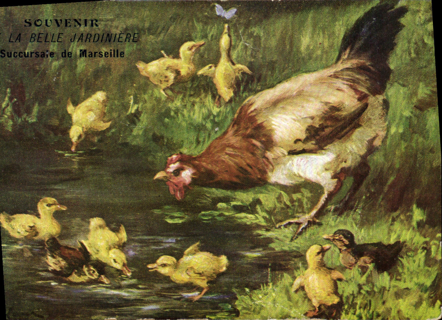 CPA Coq Poule Poussins Canards Belle Jardiniere