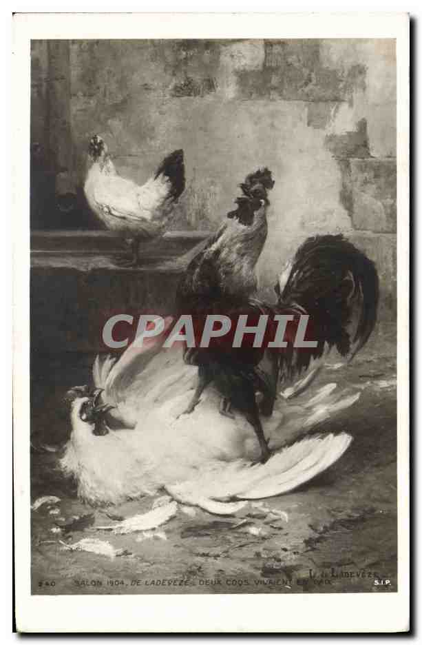 CPA Coq Poule Salon 1904 De Ladeveze Deux coqs vivaient en paix 
