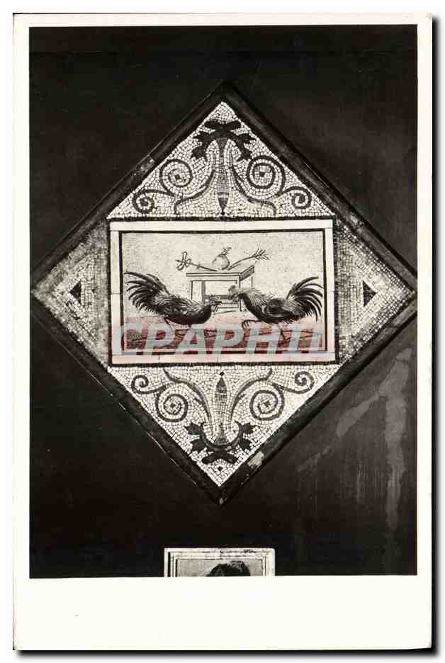 CPA Coq Poule Napoli R Museo Nazionale Combat de coqs 