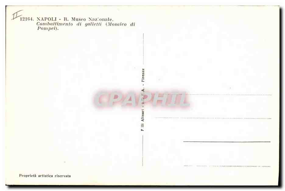 CPA Coq Poule Napoli R Museo Nazionale Combat de coqs  — Rückseite