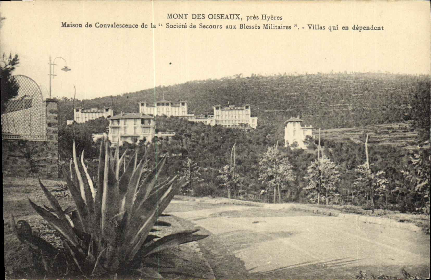 Mont des Oiseaux, près Hyères — Maison de Convalescence de la Société de Secours aux Blessés Militaires — Villas qui en dépendent